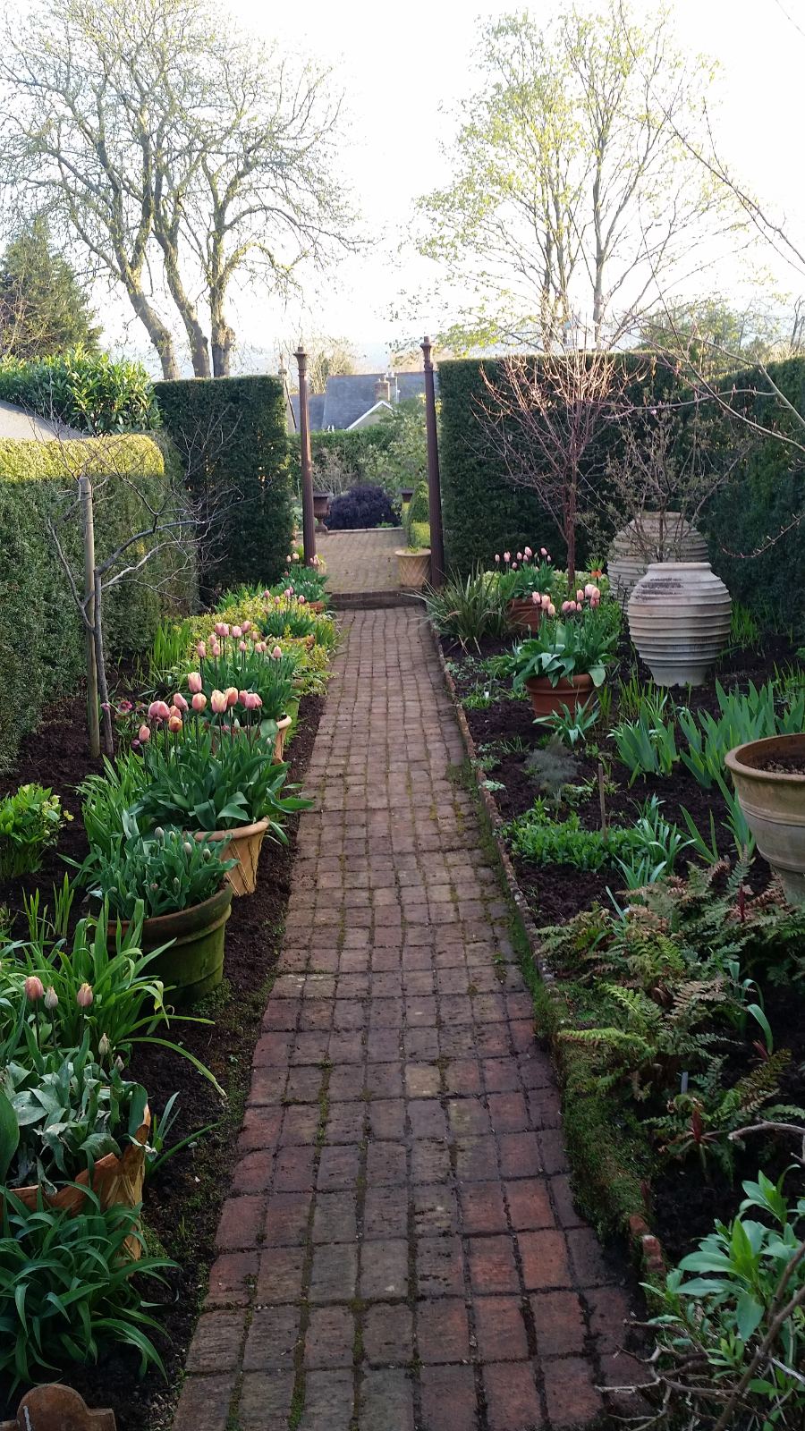 The brick path, borders newly planted