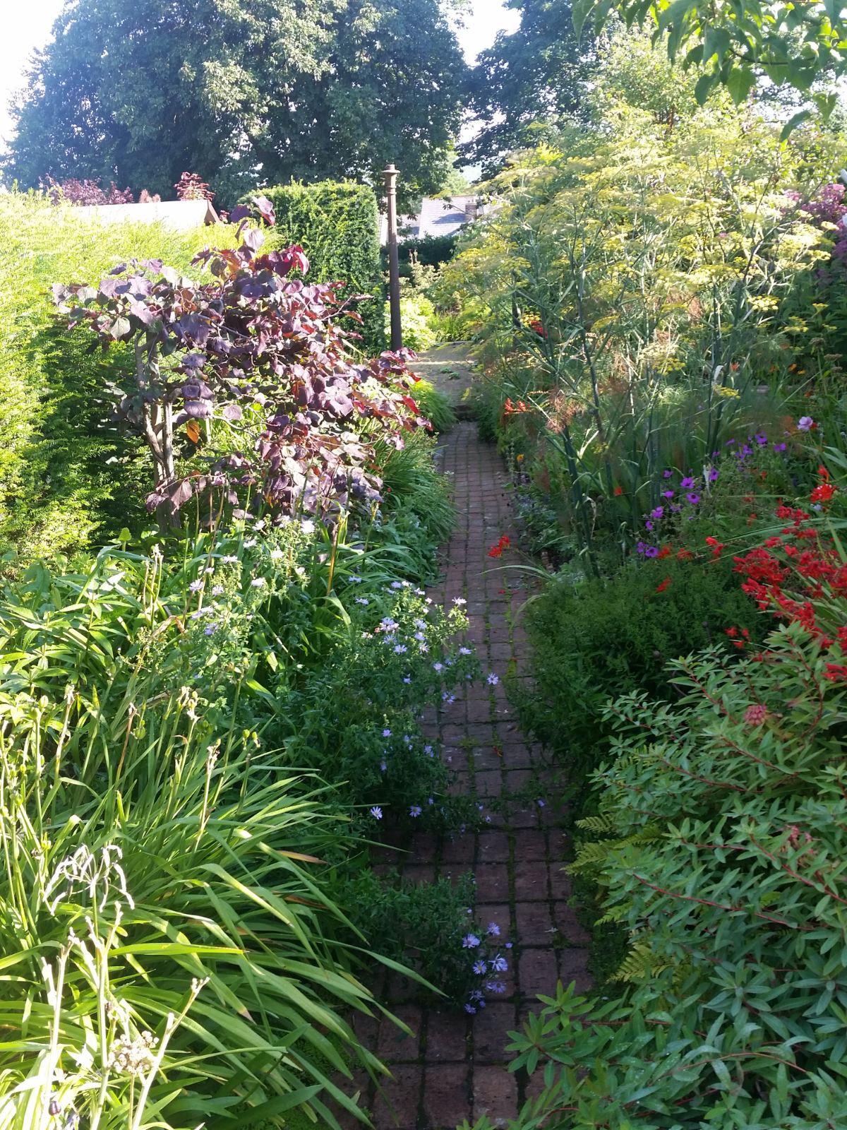 A dense mixed border in full summer flower
