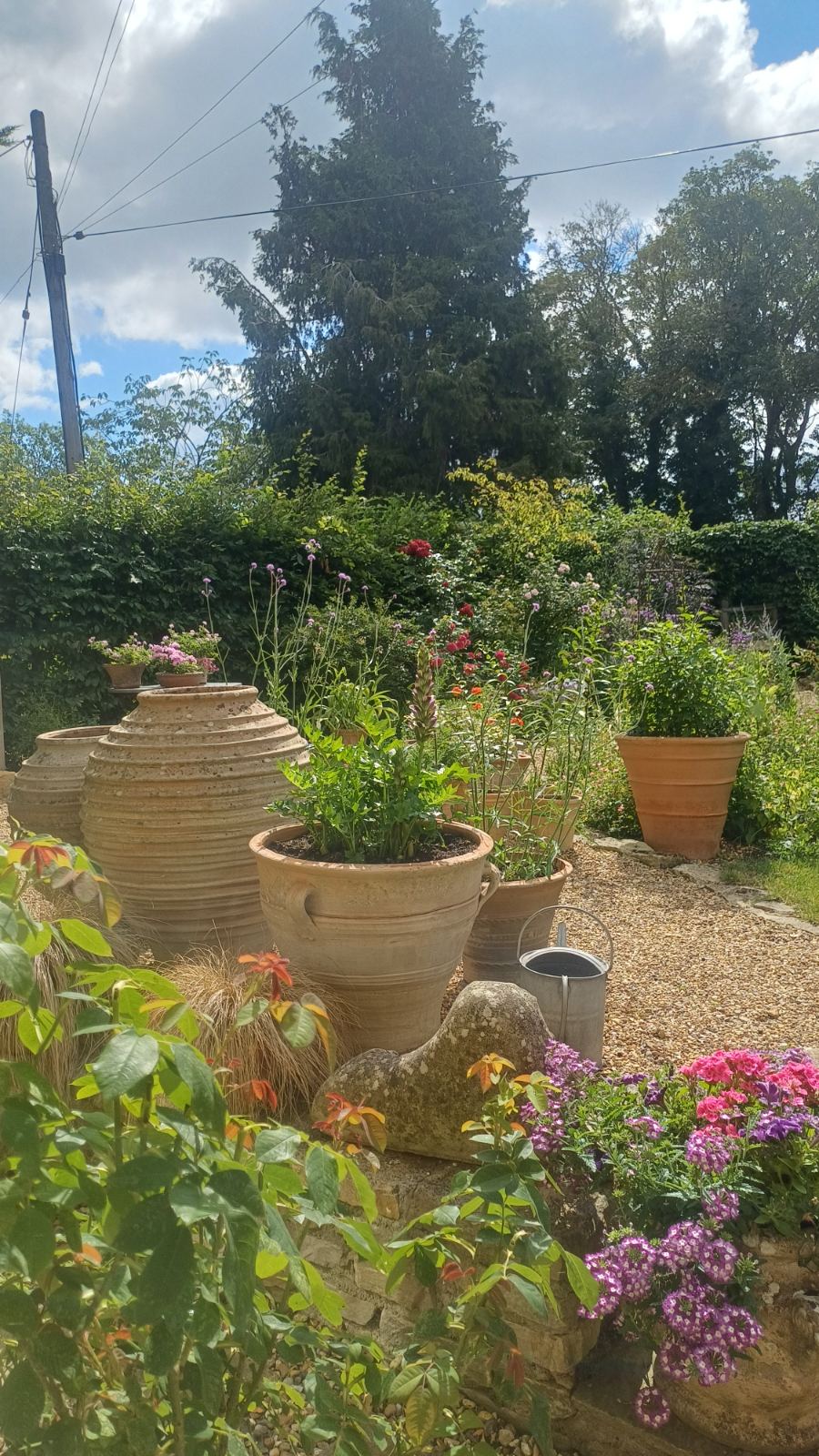Terracotta pots and established planting beside a gravel path