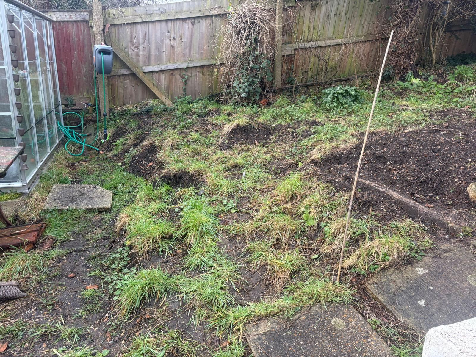 The steeply sloping plot before work, rough grass falling away from the top of the garden