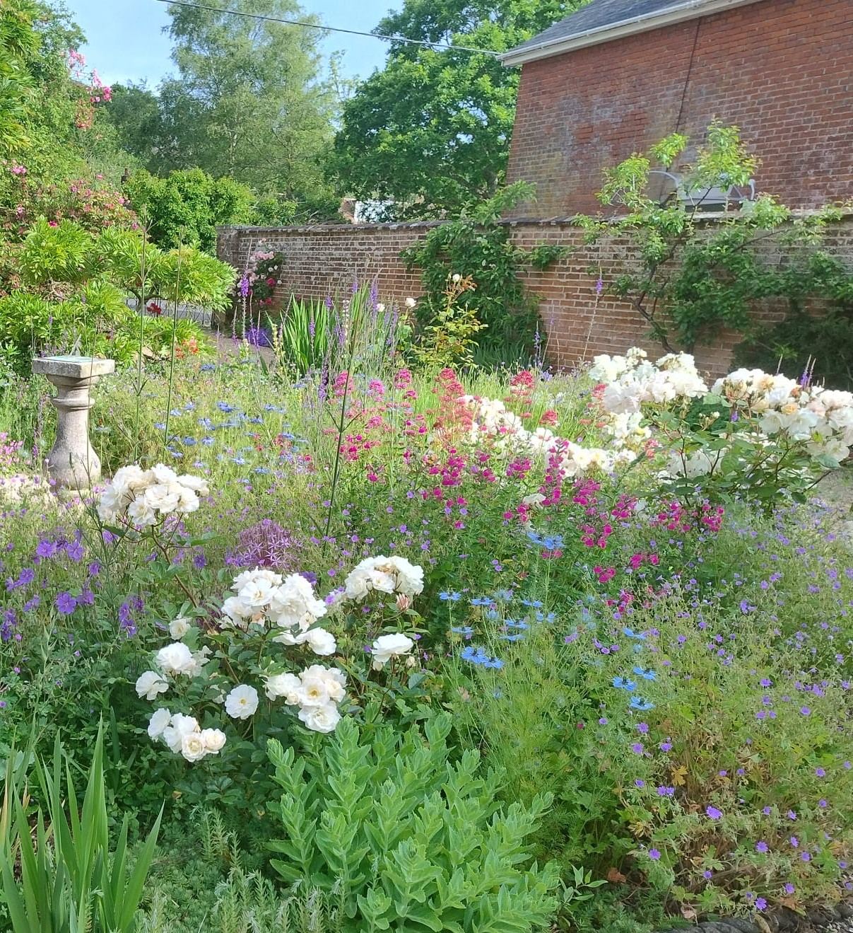A designed mixed border in full flower